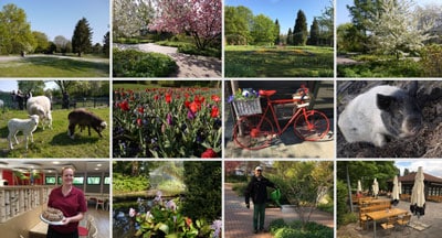 Südpark-Impressionen Fotos vom Südpark mit Grünanlagen, Blumenbeeten, Tieren, Café